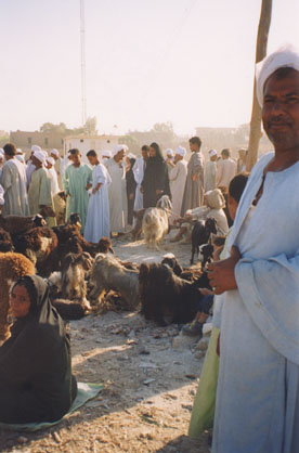 egypt_farmers_market