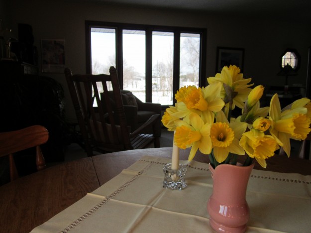 Spring in Lake Elmo -- only inside ... notice the white and black landscape out the front window