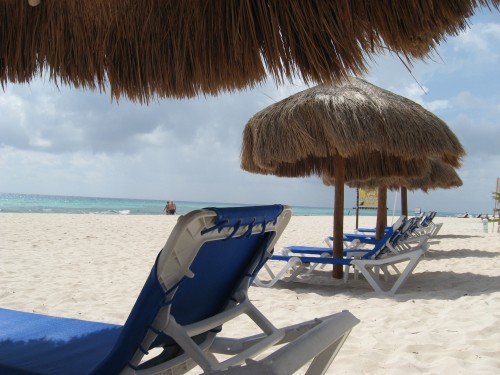 IMG_0730 still paradise