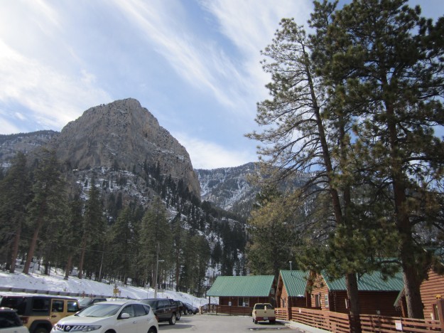 snow on the mountain