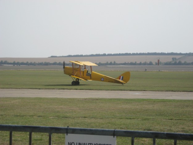 IMG_2633 Tiger Moth
