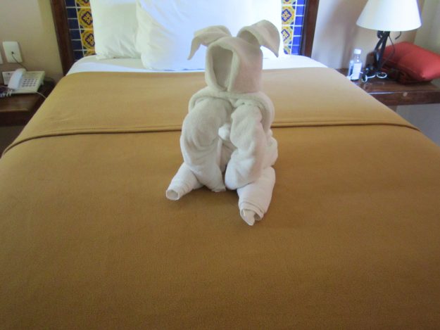 Towel bunny