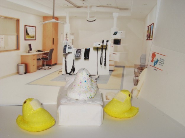 The new limited edition Vanilla Creme Peep creates havoc in the Peeps world, causing the regular Peeps to hospitalize the new one. Obviously some kind of rash or measles.