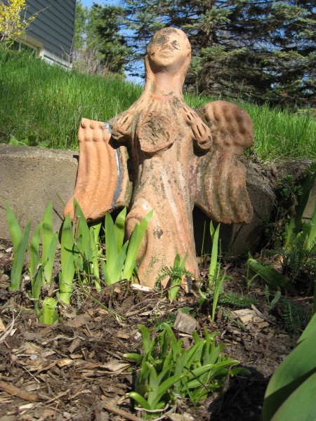 angel with broken wing and no arms... irises coming and my first daylily, "Mini Pearl" growing in the front. 