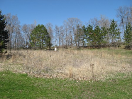 Prairie before the scheduled burn this week. 