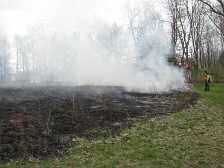 fire moves over the prairie as it would in nature, preparing for a new growing season, rejuventated