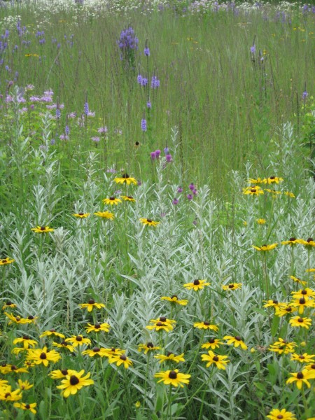 The prairie is breathtaking