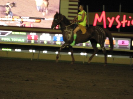 flashy colors and proud rider