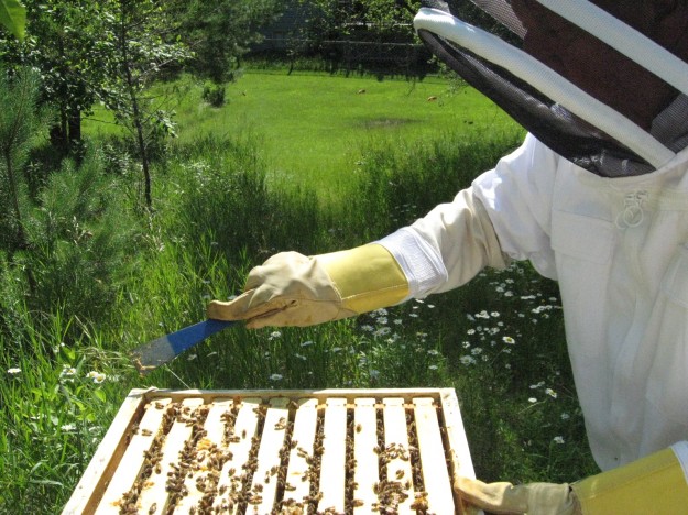 Bob says, "it looks like I know what I am doing."