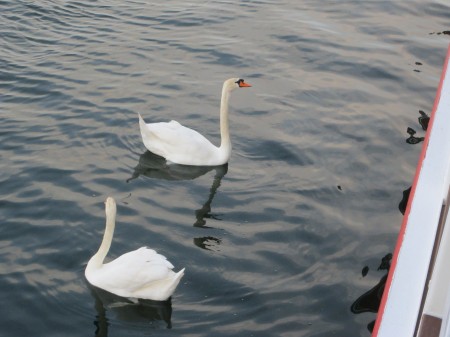 cruiseblackforest 002