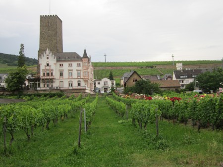 cruiseheidelberg 007