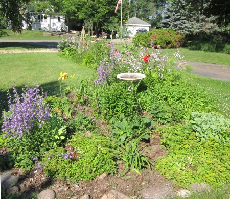 day lily end of the garden