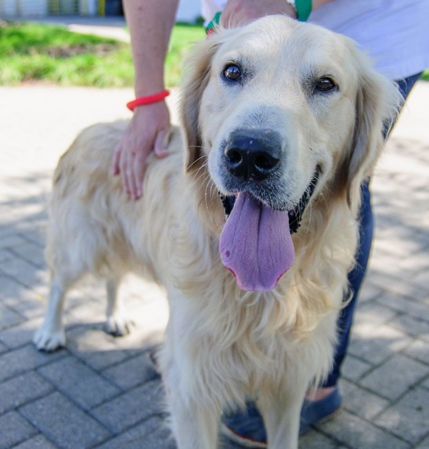 at the Chicago airport after a 11 hour flight