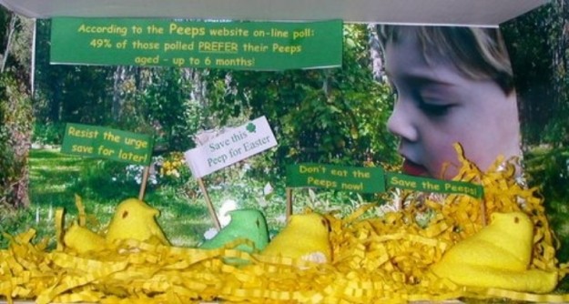 featuring the woods in the Dells and Oliver